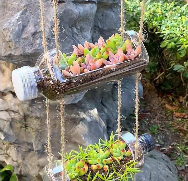FourrierNadia's tweet photo. Just finished this upcycled mason jar succulent planter  Turned old glass jars into cute decor in 30 mins—great for tiny home green spaces! #DIYHomeCrafts， https://t.co/5Stg2XxO03