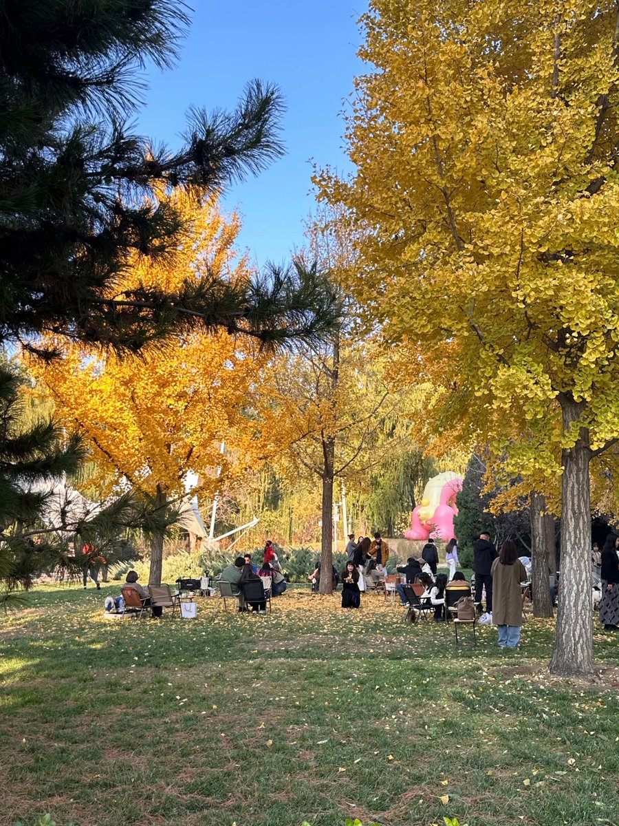 GildaWinemlw's tweet photo. Cool autumn breeze and golden leaves! Perfect for a walk with a warm coffee. ， https://t.co/8dLFiRoRqz