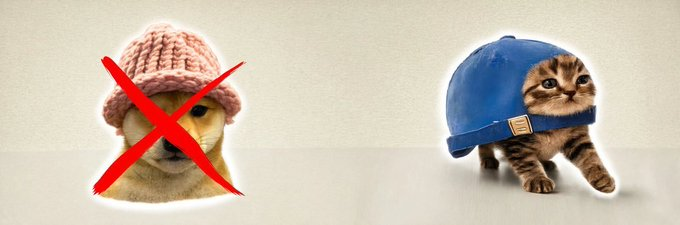 BendyNFA's tweet photo. we literally just got the opposite of dog wif hat, check the post...

dog - cat

wif - in

hat - cap

$IN, cat in cap is "dog wif hat" of this cycle,

missed 
$WIF
 2 years ago? don't worry, this is your 2ND chance

simple as as that. perfect for normies. https://t.co/2MLHGrPZbK