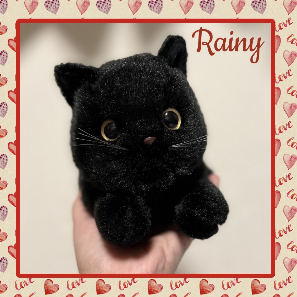 感謝価格(ㅅ´꒳` )黒猫ちゃんと男の子 黒猫感謝の日 他の猫ちゃん共々