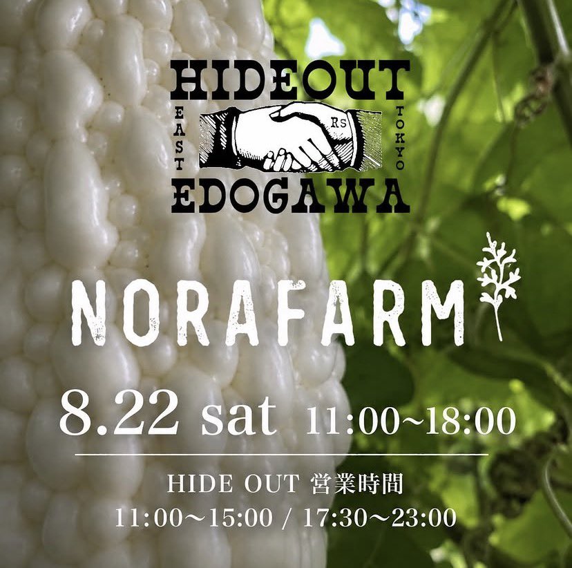 HIDEOUT_EDOGAWA's tweet photo. 【NORA FARM 野菜販売】
8/22(土) 11:00〜18:00
HIDE OUT EDOGAWAにて、今月も新鮮な野菜を販売します
白ゴーヤ、ナス、ピーマン、オクラ、モロヘイヤ、じゃがいも6種など夏野菜たっぷり🍆
お店も通常営業しています🍝
ぜひお気軽にお立ち寄りください
#瑞江 #江戸川区 #野菜販売 #NORAFARM #自然野菜 https://t.co/hVB7difAse