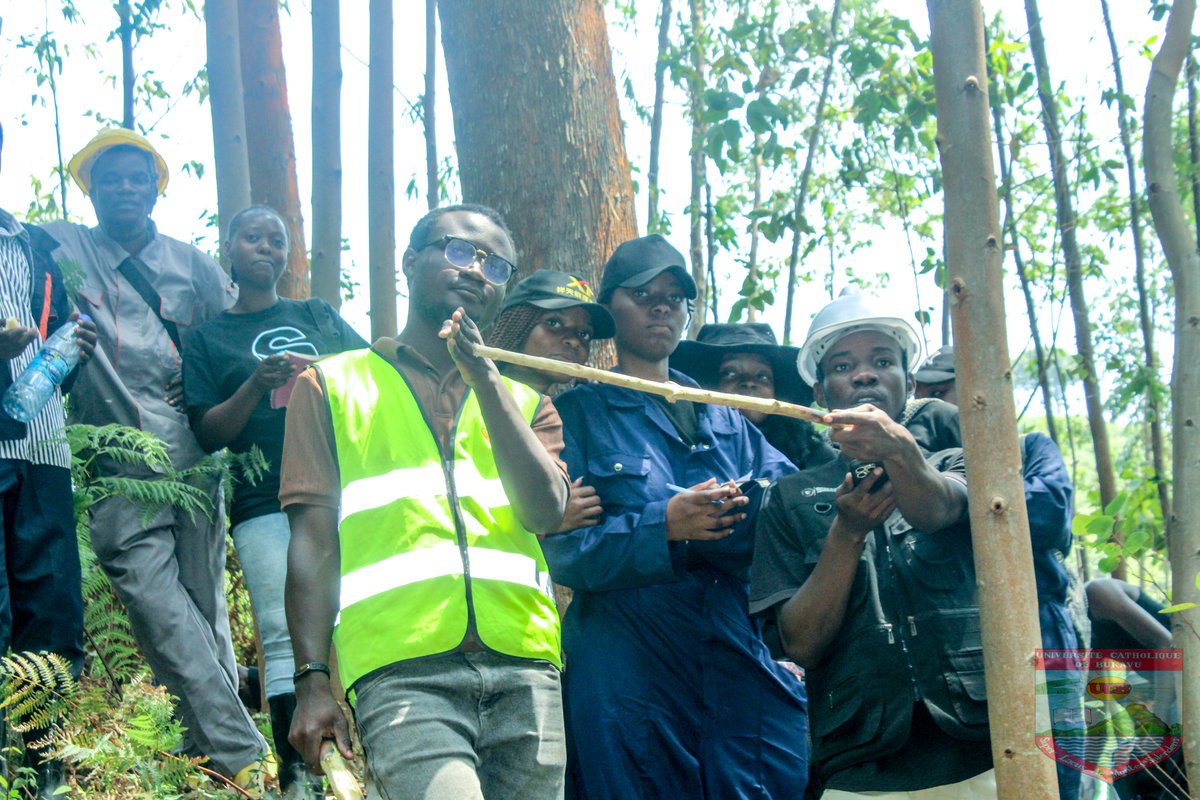 ucbukavu's tweet photo. Pendant plusieurs jours, nos futurs experts en environnement ont arpenté la Réserve Naturelle de Nyamusisi pour transformer leurs cours théoriques en compétences scientifiques concrètes.

#ucbukavu #UCB #agriculture #agronomie #research https://t.co/JOwz11YI3A