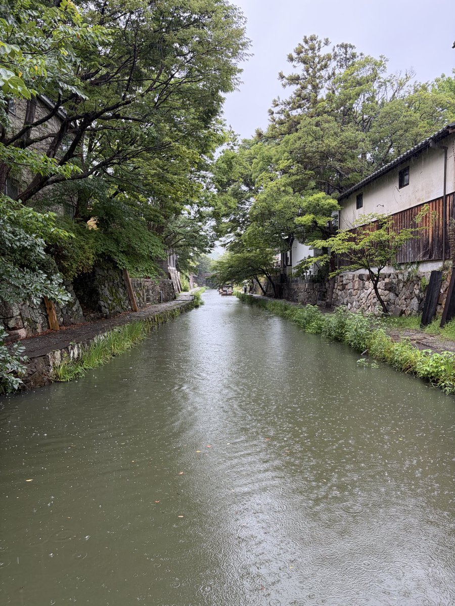 tadanowanwan's tweet photo. 確かに https://t.co/1M0yqi8k3m