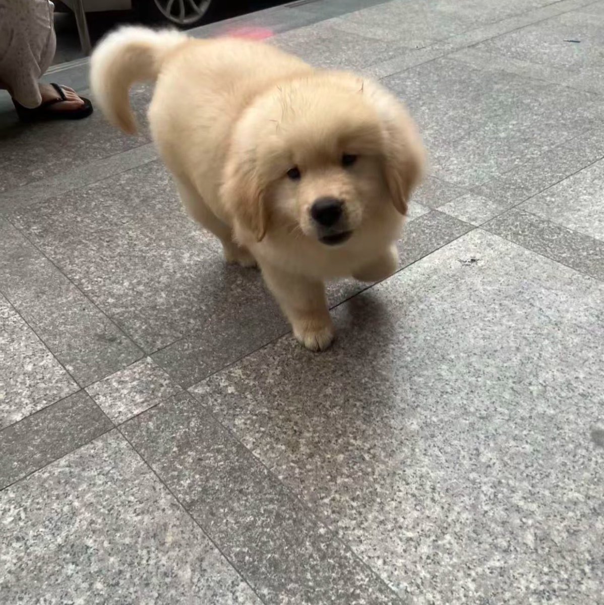takemybear's tweet photo. ทำไรจ๊ะคนสวย พี่เล่นด้วยได้ม่าย

แม่ไม่ให้เล่นกับม๋าเจ้าชุ้ https://t.co/yfGVMnOZyr