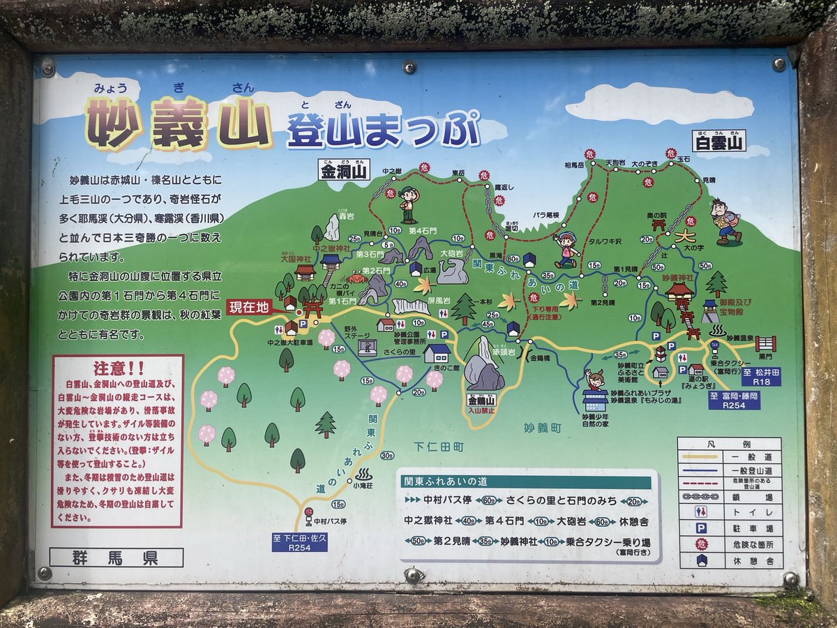iugoka's tweet photo. 妙義山..’26.8.17 イワタバコ、秋海棠 https://t.co/uUZ01MQBTy