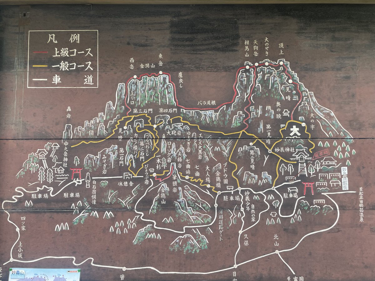 iugoka's tweet photo. 妙義山..’26.8.17 イワタバコ、秋海棠 https://t.co/uUZ01MQBTy