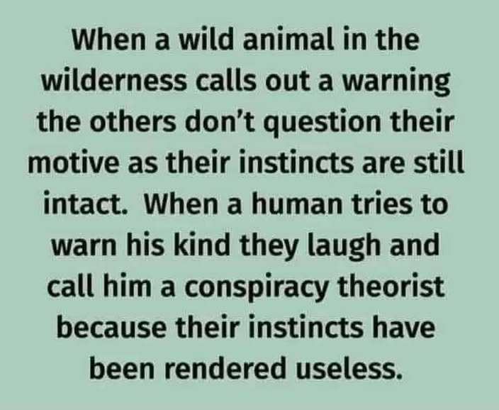 RYboating's tweet photo. Happy Monday friends!
Wishing you a great day!🤗

Words to ponder.🤔👇Trust your instincts.😉