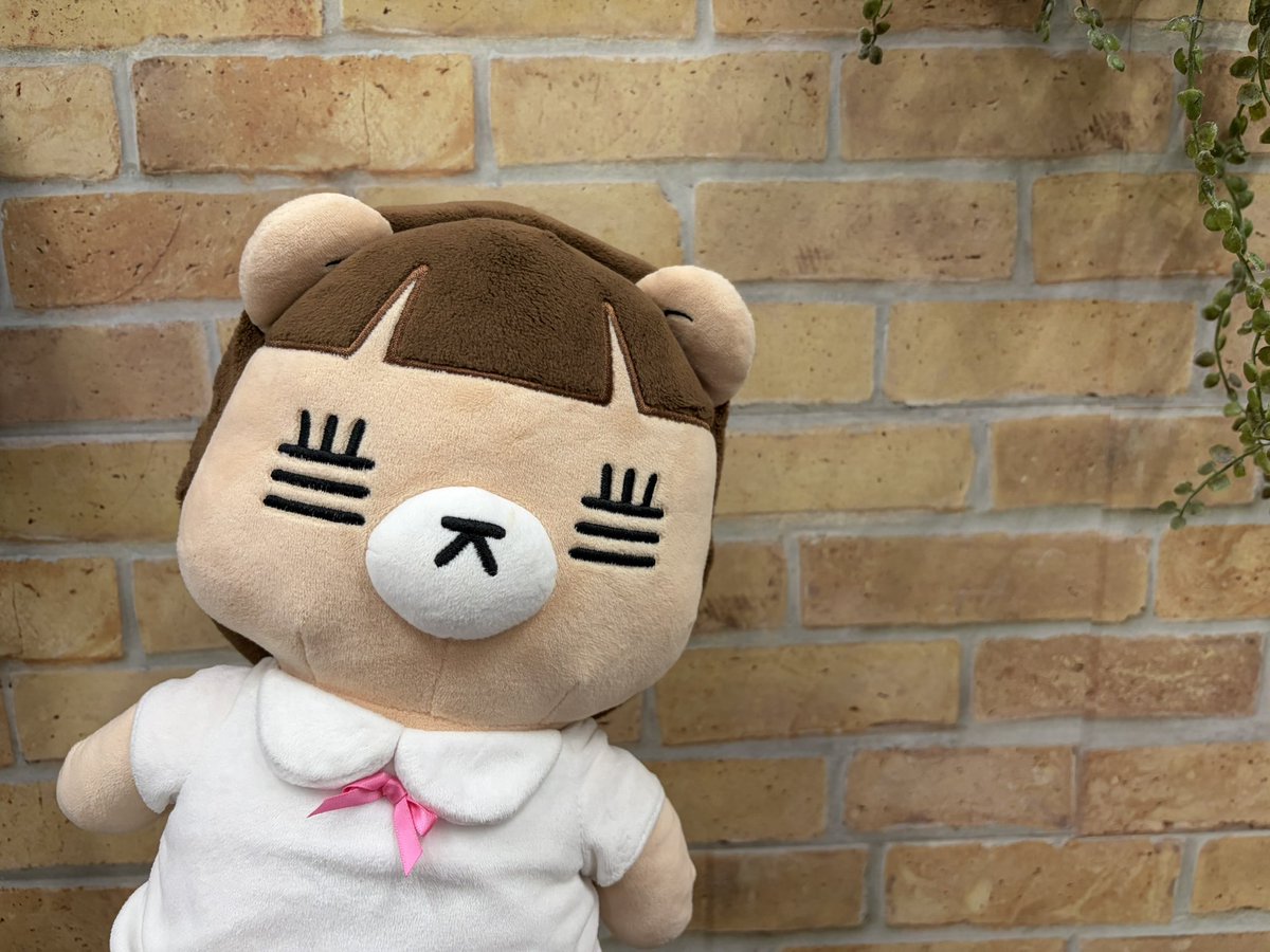 コレサワ (@koresawa_519) / Posts / X