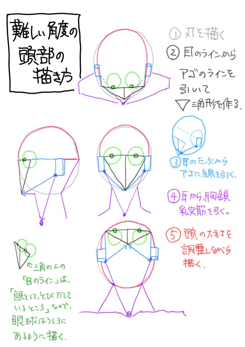 hatsudayoooo's tweet photo. 頭部の描き方で、上向下向きが一番描くのが厄介かと思うんですが
自分の描き方のコツとしては「耳の付け根」と「顔の三角形」をつなぐ意識で補助線を引くと
いい感じに立体に感じる手助けになってくれます。
ご査収ください。 https://t.co/OY5ehgPdQX