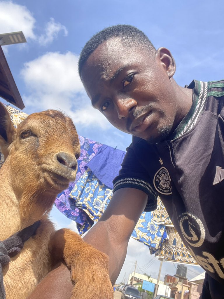 Smarthkid_'s tweet photo. Aside Daniel Regha 

How many goat can you see?

#Goat #BBNaija #Danielregha https://t.co/62k0UUjghi