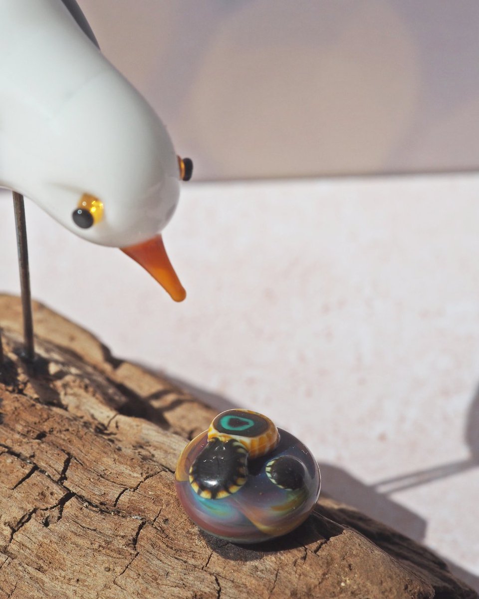 chez_philomene's tweet photo. 🦤 Mes clients souhaitaient une mouette curieuse

🌊 Nous avons sélectionné le morceau de bois flotté ensemble et j'ai réalisé la mouette et le coquillage à l'atelier

🎁 Si tu as aussi envie de me parler d'un projet personnalisé, n'hésite pas à me contacter https://t.co/24AJtP9Qim