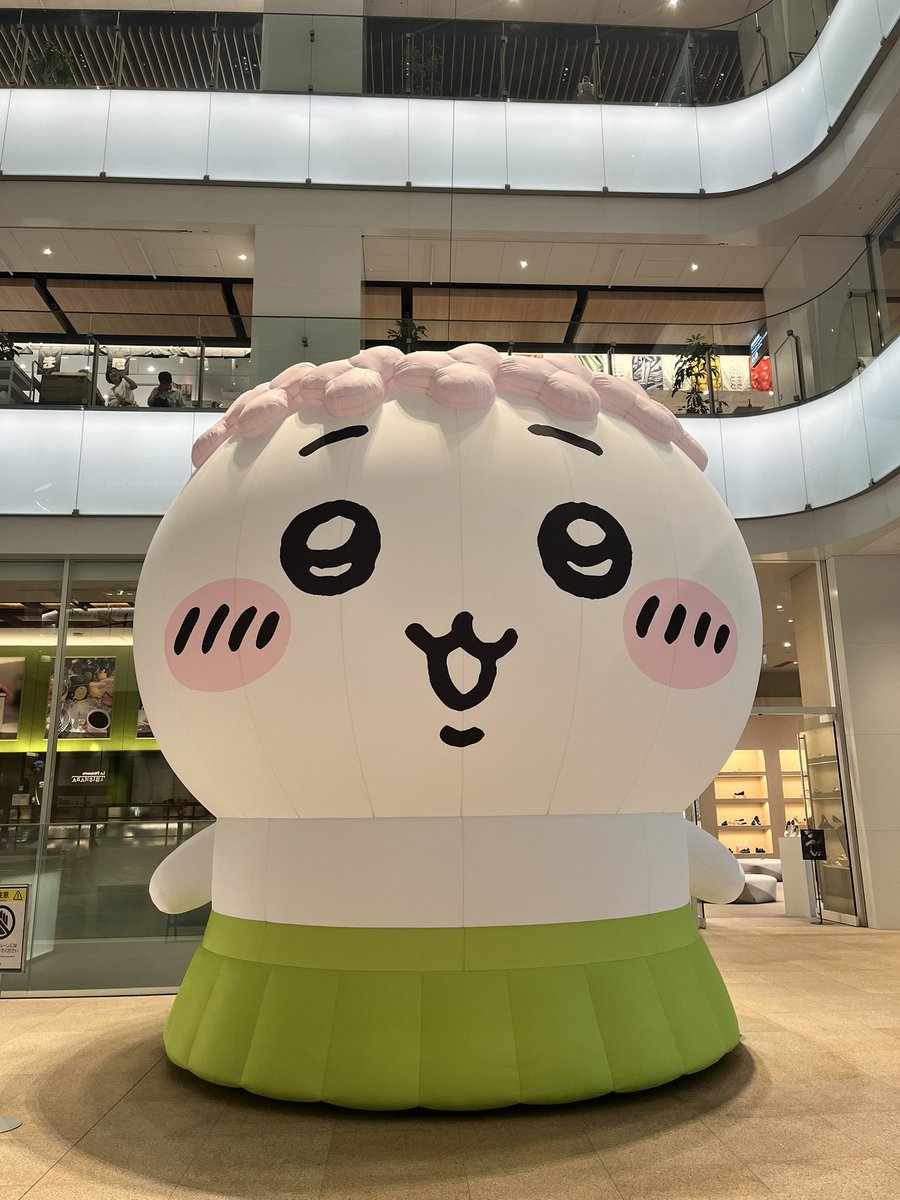 toroooun's tweet photo. でかかわ https://t.co/Wateybo9OA