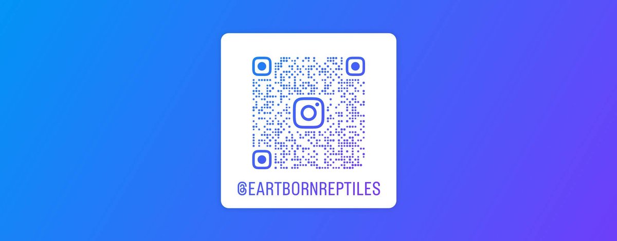 Earthbornrep's tweet photo. 来週のアクアリウムバスで販売予定のリストを公開しています。
販売個体の問い合わせはインスタからお願いします。
https://t.co/QYWA95mZ1b

#アクアリウムバス
#ボールパイソン
#ballpython https://t.co/RvuFL9iGxv