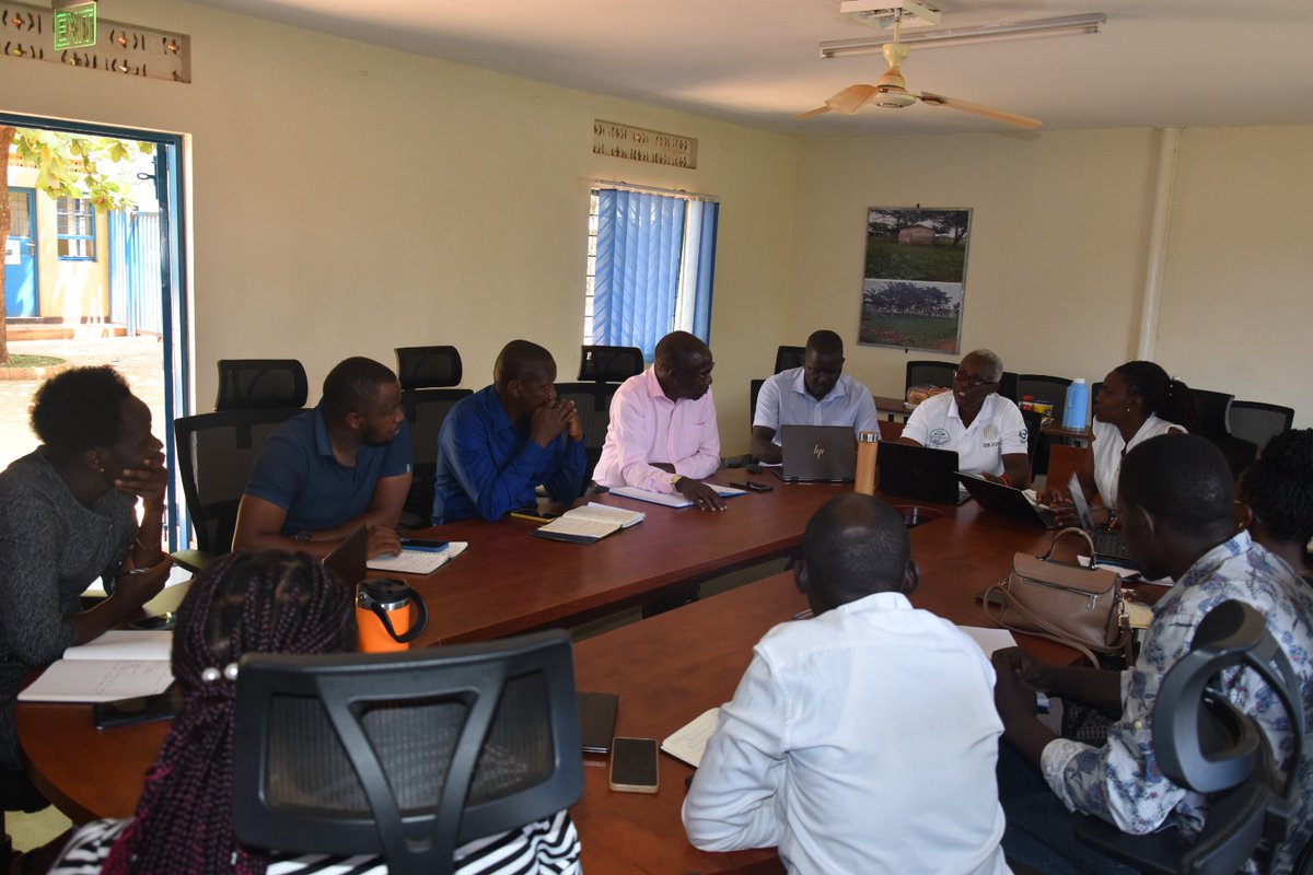 nemaug's tweet photo. HAPPENING NOW…

NEMA’S MT. ELGON PROJECT GEARS UP FOR THE SECOND PLANTING SEASON
@nemaug’s Mt. Elgon Project is coordinating with contractors to ensure the timely supply of 506,326 fruit and indigenous tree seedlings ahead of the September 2026 rains.
Following consultations, farmers have been identified and their seedling needs established. Together, we are restoring degraded landscapes, supporting livelihoods and strengthening the resilience of the Mt. Elgon ecosystem.
#MtElgon #ILM # GenderEquality #Conservation #NEMA