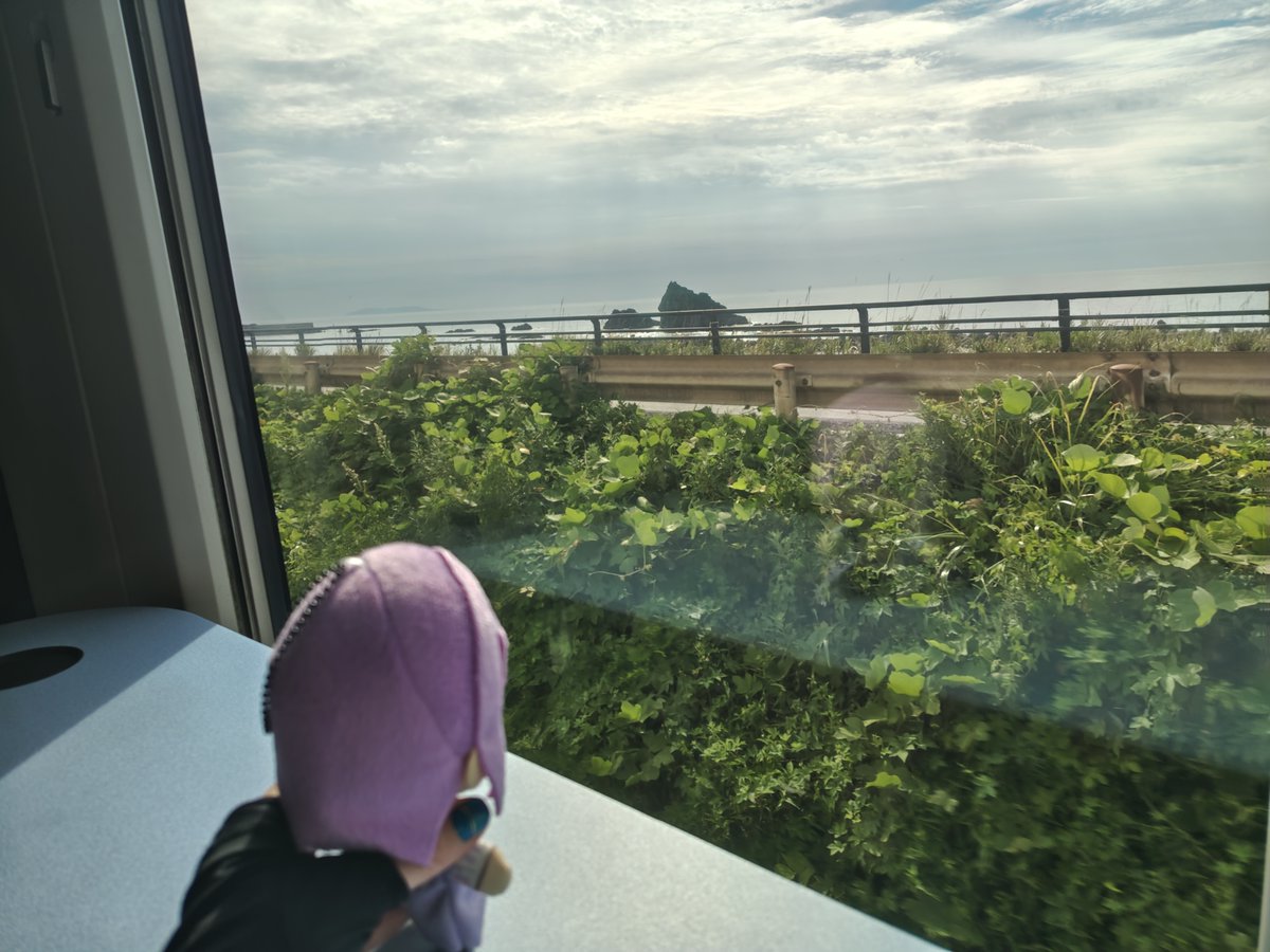 chu_tyon's tweet photo. いなほのグリーン車に展望席みたいな所があったので…ぬいと戯れ(⁠≧⁠▽⁠≦⁠)

海を見て仲���深めたむっくんと五虎ちゃんでした(⁠ ⁠ꈍ⁠ᴗ⁠ꈍ⁠) https://t.co/SAn60Bls36