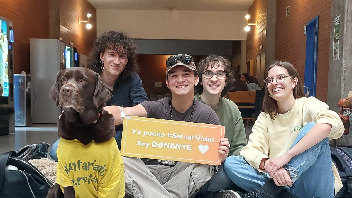 EquipoMedula's tweet photo. 🧡 Más donantes, más oportunidades, más vidas. Ayúdanos a hacer crecer el #EquipoMédula. https://t.co/1K90eesggo