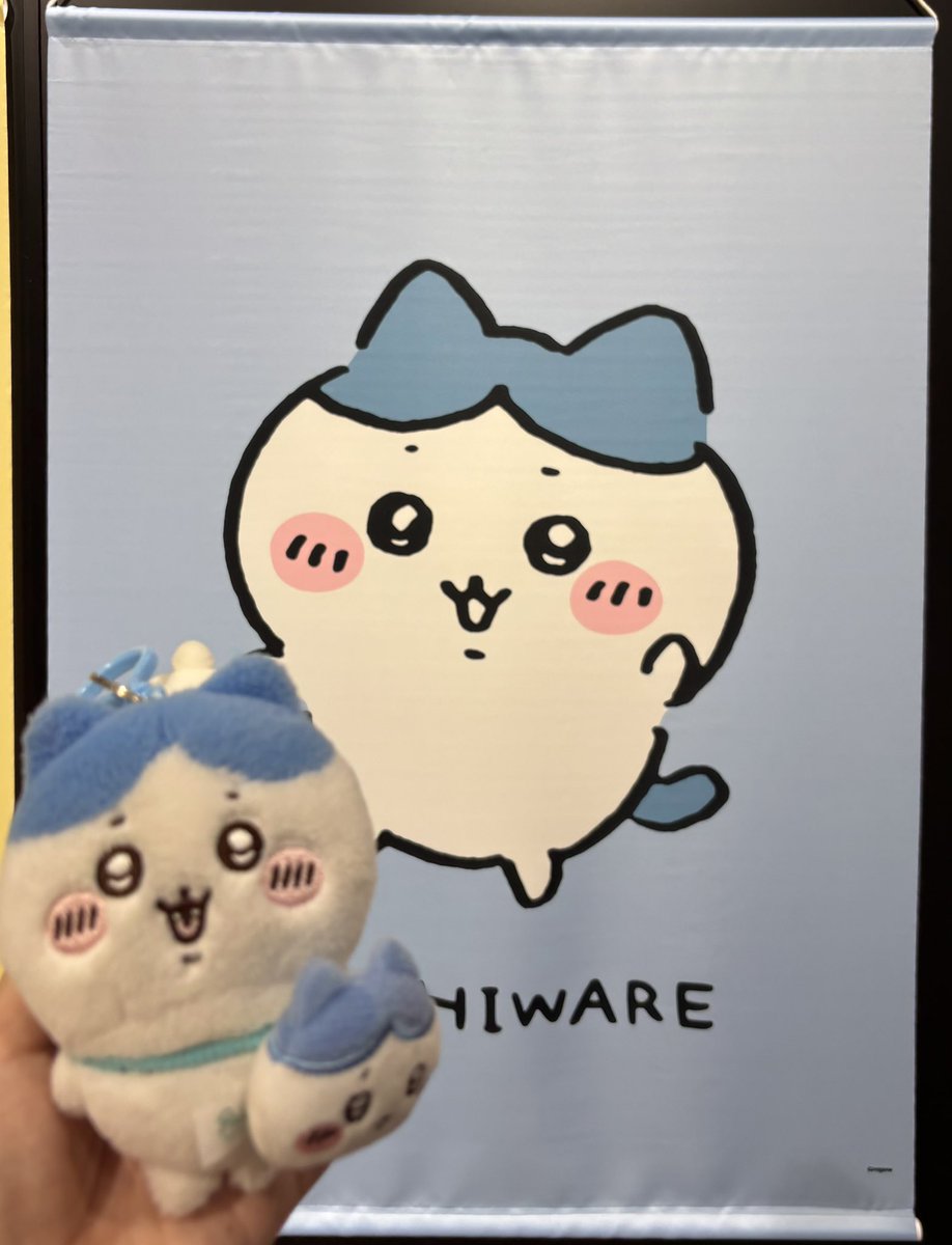 ちいかわとハチワレちゃん🩷💙