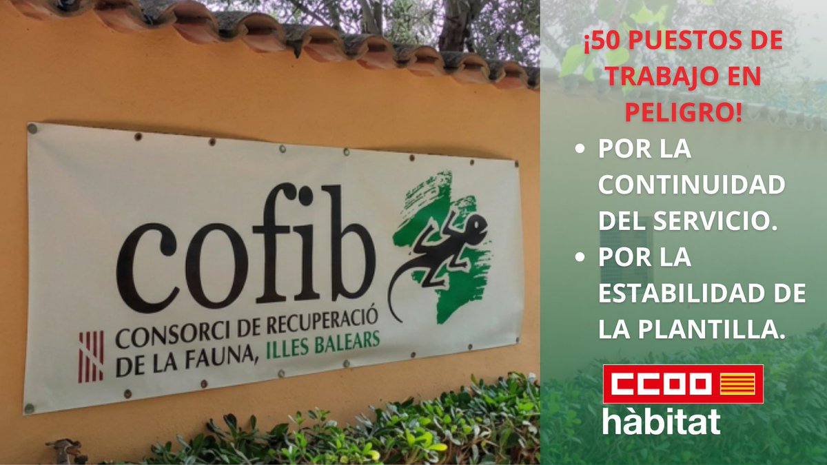 CCOO_Habitat's tweet photo. 🚨 ¡URGENTE! 

El COFIB (Baleares) y 50 empleos en ⚠️peligro por el fin del convenio en 2026.

No pueden perderse por falta de previsión. 

Desde @CCOOHabitat_Ib se exige reunión al Govern ¡YA!

Más: https://t.co/rdlySJliD1 https://t.co/Q19T12KHz3