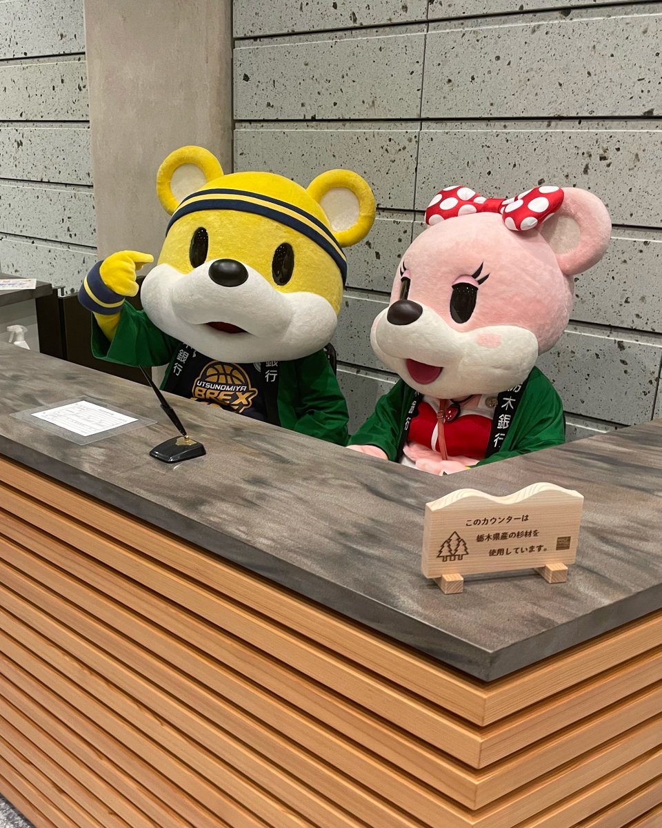 utsunomiyabrex's tweet photo. 本日、栃木銀行本店プレオープンイベントに、 #028 ブレッキーとベリーちゃんが参加しました。
大抽選会のお手伝いなどをしました。

ぜひ、皆さんも新しく生まれ変わった栃木銀行本店へお越しください！

#栃木銀行 #BREX https://t.co/wpyeD45oy6