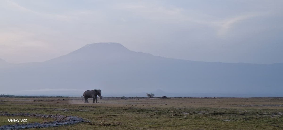IremboAfrica's tweet photo. #MondayMotivation 
“Don’t just dream about the journey—make Monday the day you start planning it.”

Your next adventure awaits. https://t.co/oHIastfRog