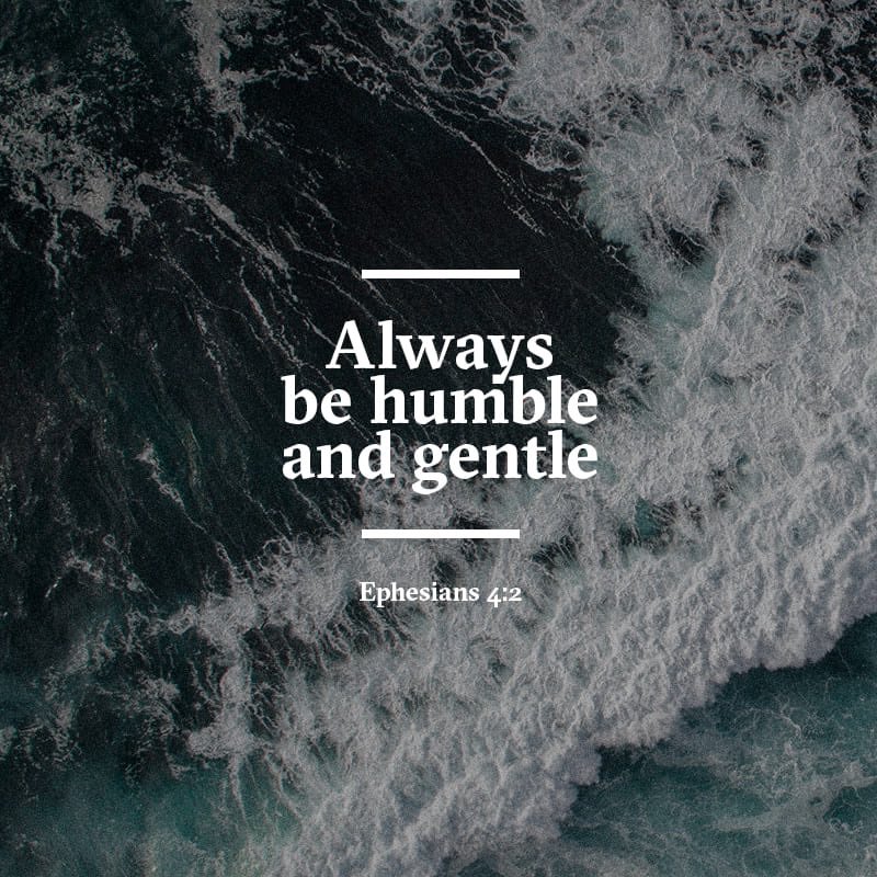 Traethetrue's tweet photo. Happy Monday, everyone! Let’s begin this week with positivity and leave the negativity behind. Don’t engage with it; simply ignore it and move accordingly. God instructs us to follow peace with all men. May you have a blessed, healthy, productive, and safe day! ❤️🙏🏽 https://t.co/aTtmOQ7aT9