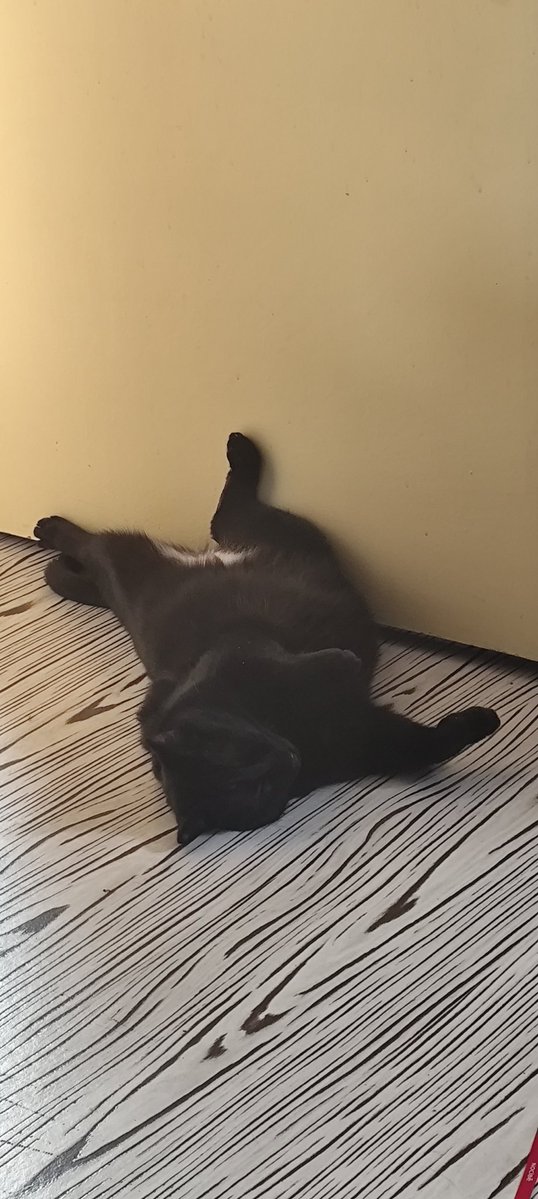 Celae_no's tweet photo. Mon fils ma bataille 🖤 https://t.co/iERftiVneC