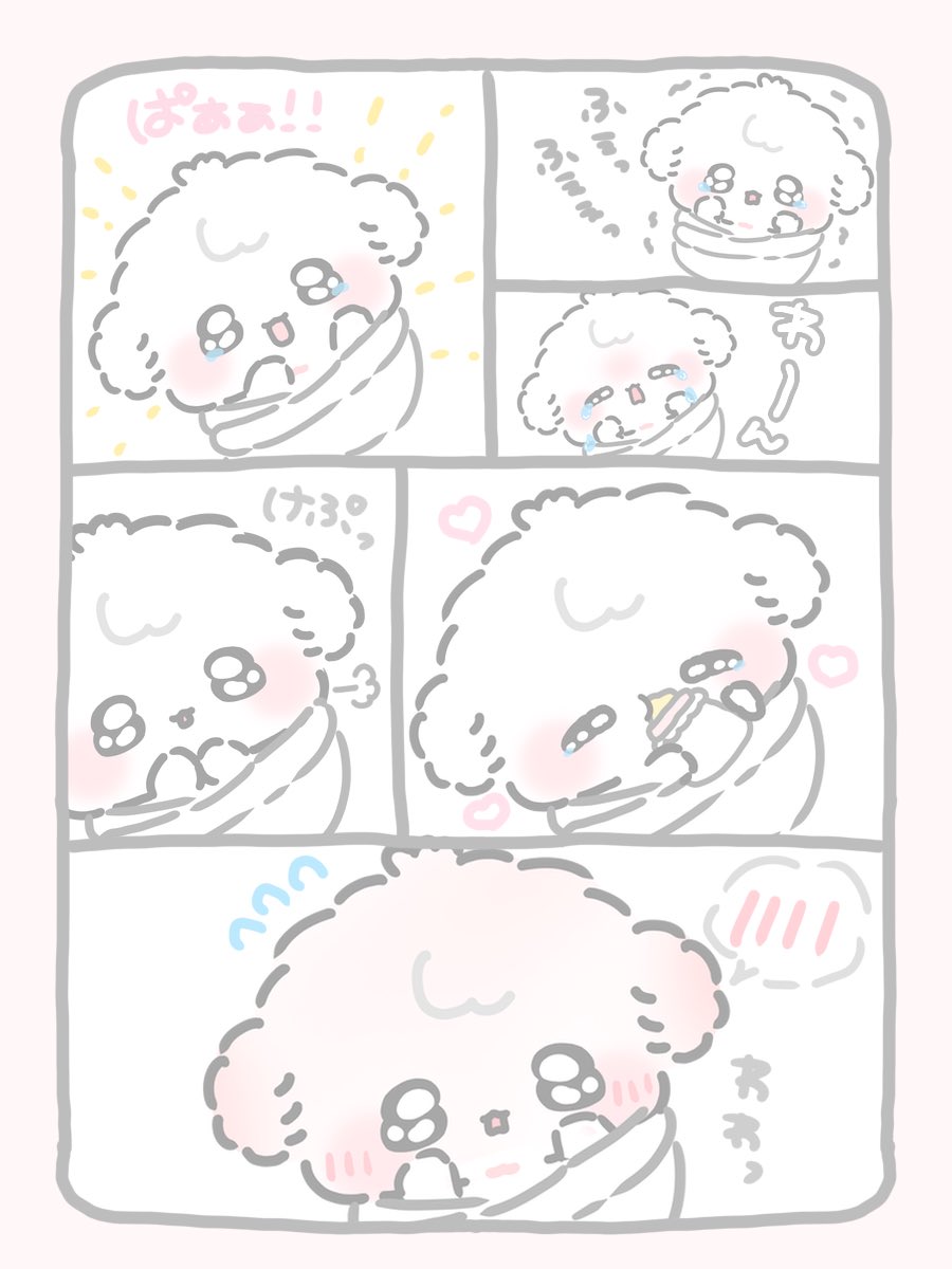 funyu030's tweet photo. けぷっ💭 https://t.co/k6xa05GXqc