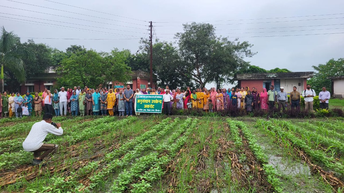 atmaagri's tweet photo. Exposure Visit under ATMA Scheme

An exposure visit was organized for 80 farmers from Development Block Una to progressive farmers’ fields, where they gained practical knowledge about citrus cultivation with turmeric and maize intercropping and dragon fruit cultivation.

#ATMA https://t.co/mmqXHW2eb8