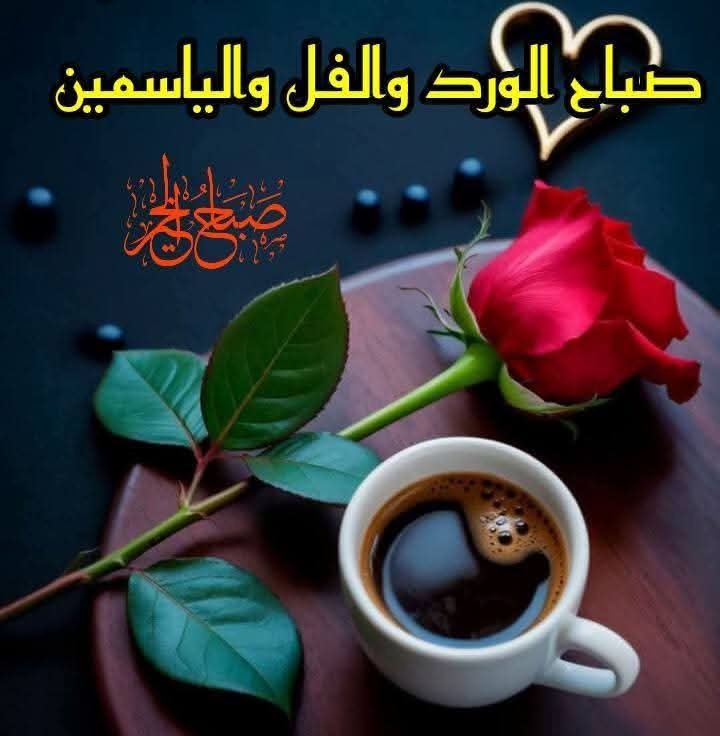 Muhammedja4994's tweet photo. @bdalltyf65274 https://t.co/jPtwTnSbJm