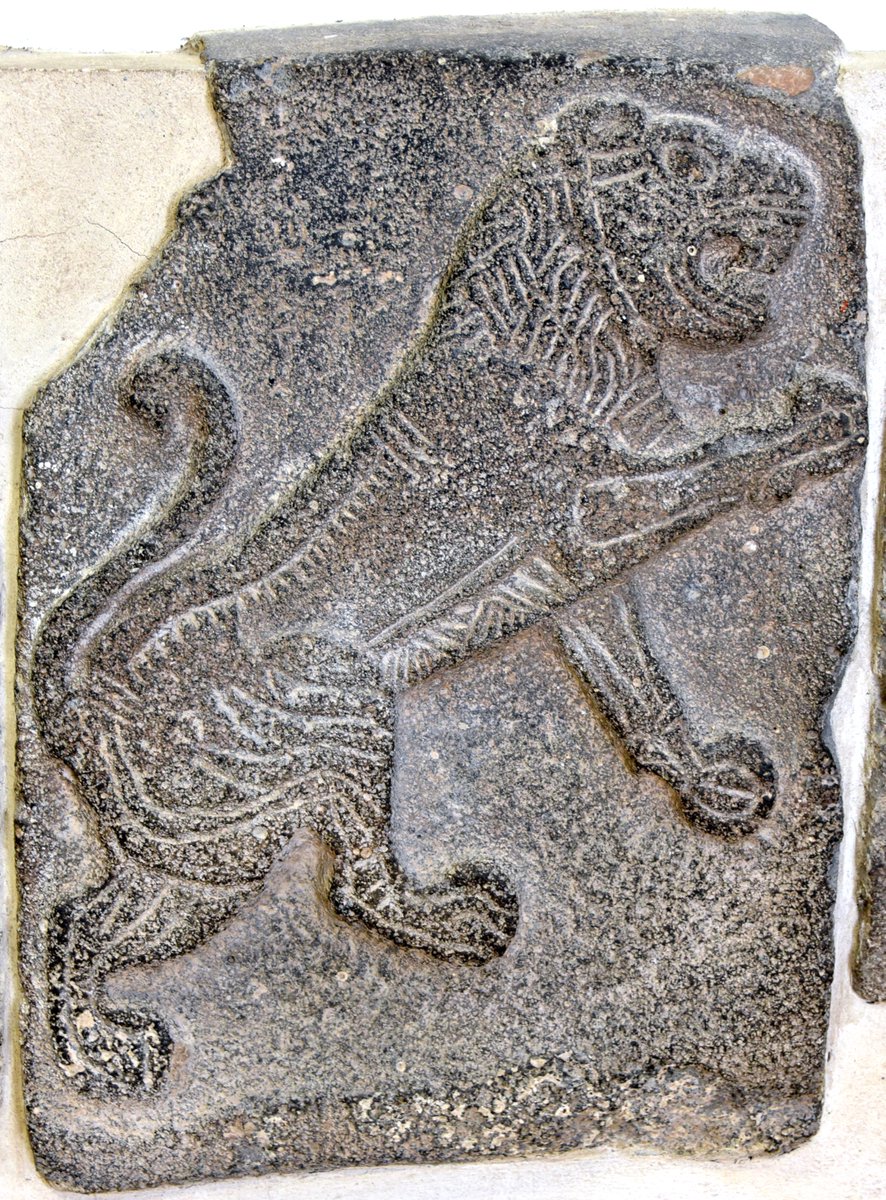 SyriaHistoryLab's tweet photo. Object of the Week: a basalt Lion Orthostat from Guzana - Tell Halaf, Syria, dated to the 10th–9th century BCE. Berlin, TH B 0026. 
#SyrianHeritage #TellHalaf #AncientSyria #Archaeology #BerlinMuseums #MuseumStories https://t.co/FwEAJKFPa8