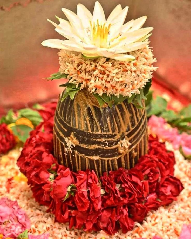 Deepika_real_'s tweet photo. सानन्दमानन्दवने वसन्तमानन्दकन्दं हतपापवृन्दम्। वाराणसीनाथमनाथनाथं श्रीविश्वनाथं शरणं प्रपद्ये।।"
बाबा काशी विश्वनाथ 🙏 https://t.co/GsFY5WrcVg