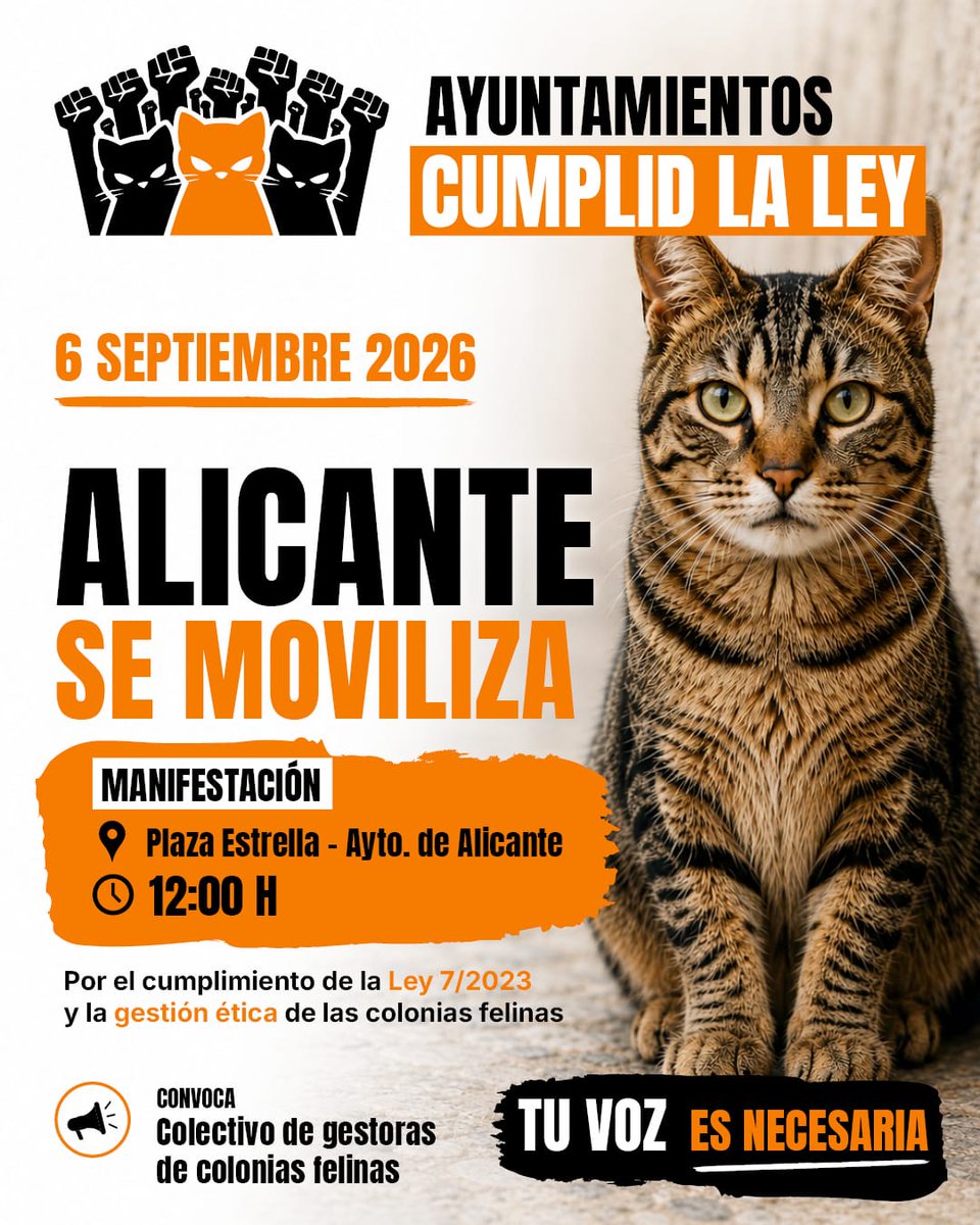 eualacant's tweet photo. 📣 ¡ YA SOMOS 38 CONVOCATORIAS EN TODA ESPAÑA! 🐾 El 6Septiembre salimos a la calle en 38 manifestaciones y concentraciones simultáneas para exigir el cumplimiento efectivo de la Ley 7/2023 en materia de colonias felinas.

🕛 12:00 h · Península y Baleares
🐈‍⬛ LOS GATOS TIENEN LEY https://t.co/E9G0QYOWyY