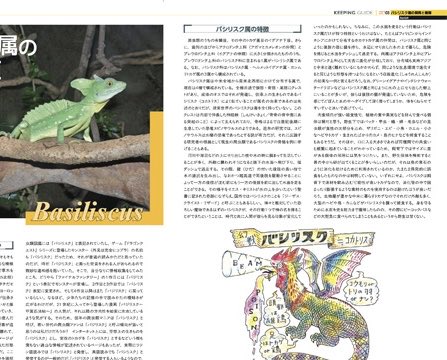 nagisabunko's tweet photo. Ralabo創刊号内容案内その3。バシリスク属。なぜこの名前があるのかなど多角的に彼らの魅力を探ります。代表的なグリーンバシリスクは玄人を唸らせるような、飼育動物としての深さがあります。限られた飼育空間でいかにクレストを伸長させられるかetc. 執筆は二木勝さん。お求めは全国の専門店にて。 https://t.co/xVT9cPHrRE