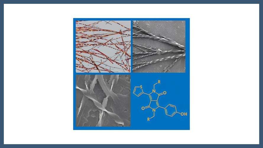icmabCSIC's tweet photo. Check out this week's #ICMABresearch on @ChemEurope!

🪢Morphologically Chiral Crystals From Achiral Dyes

https://t.co/MRYQI1Vbta

📜You can also read it in: https://t.co/7qTJvOtZQX https://t.co/KIITgaHGwM