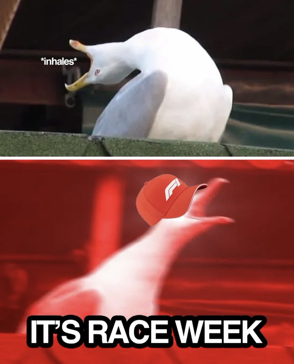 wearetherace's tweet photo. SUMMER BREAK IS OVER https://t.co/o1lCr31LZG