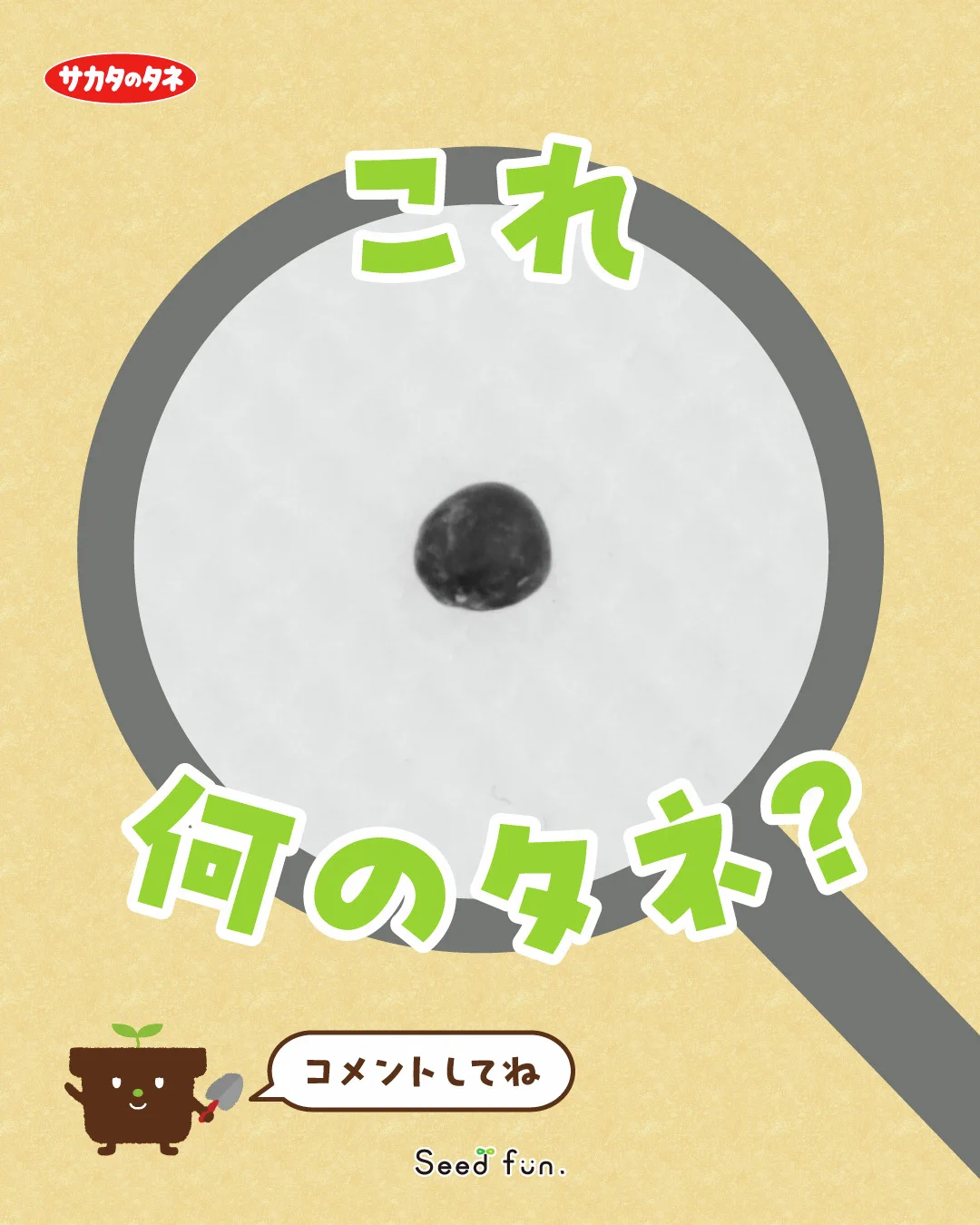 サカタのタネ_Seedfun.【公式】 (@sakatanotane_jp) / X