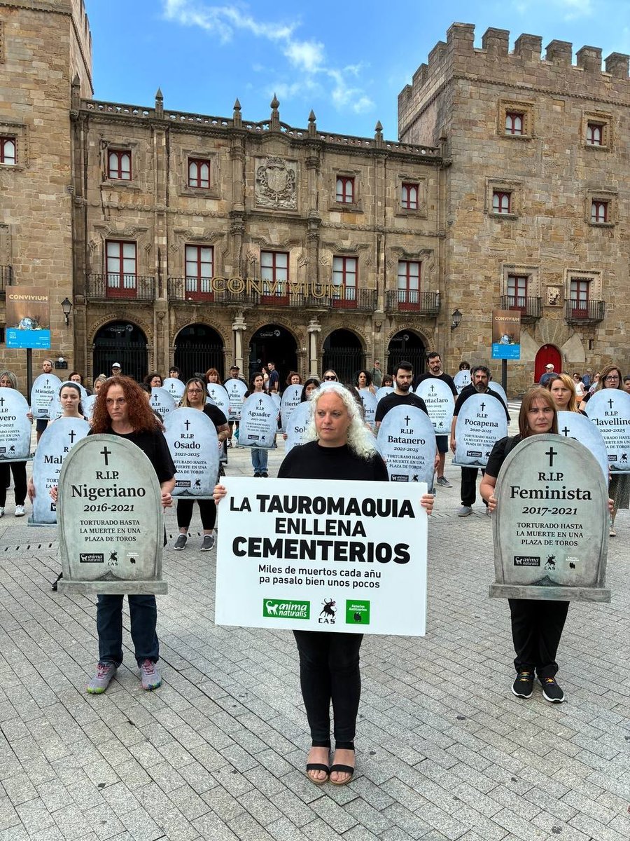 AnimaNaturalis's tweet photo. 🐂🖤 Hoy termina la Feria Taurina de Begoña. Pero deja 30 víctimas.

Entre el 13 y el 17 de agosto, 30 toros y novillos serán masacrados en Gijón en nombre de la "fiesta".

Durante estos días, nos hemos movilizado junto a la gente de Gijón: primero, recordando a las víctimas con un cementerio simbólico; después, junto a 2.000 personas en las calles.

La tauromaquia llena cementerios. Y cada vez somos más quienes decimos basta. ✊