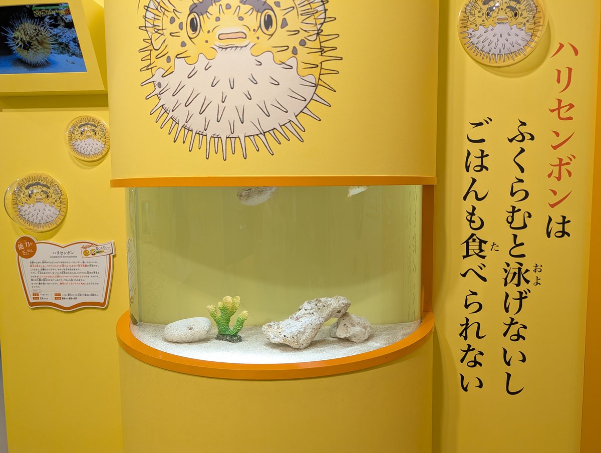 ab_choco2609's tweet photo. 石禁52日目

今日は池袋サンシャインシティ水族館へ〜🐟️

子ども達が大好きなざんねんないきもの展にも行き、お昼はサンリオカフェにて…

疲れたけど楽しかったようで、良かった良かった https://t.co/mZ56LC1elE