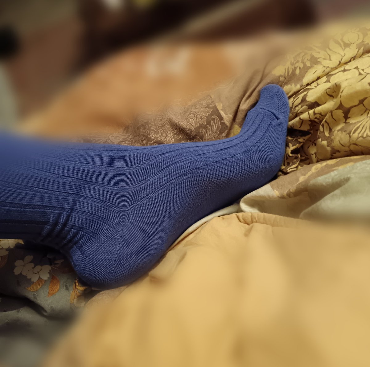 misspersefonee's tweet photo. Buongiorno amebe 🧫
Arco del piede magistrale. Si potrebbe definire didattico.
Ma voi sfigati potete solo guardare, senza toccare nulla 🤣🤣🤣 

#archedfeet #feet #feetlovers #feetmodels #feetfetishworld #footqueen #fetish #slave #mistress #goddess #findom #femdom https://t.co/hgdSpTWAPy