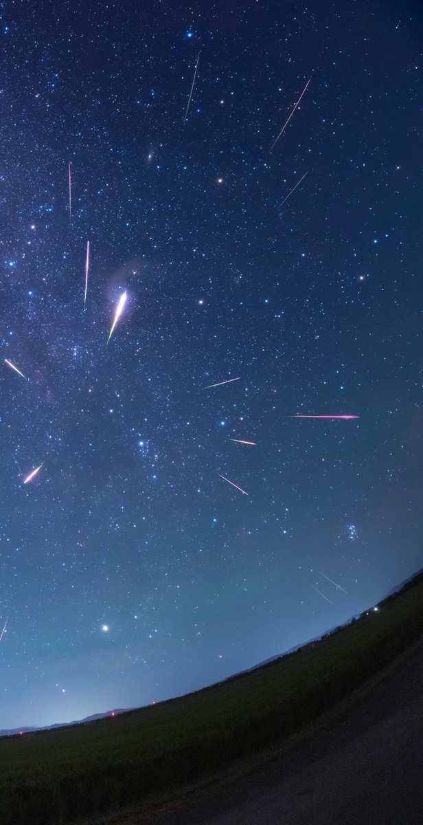 HisatarouFire's tweet photo. ペルセウス座流星雨 その3
北極星を真ん中にして北の空を撮影し、流れ星の写った写真を比較明合成しました。
下記のツールを使って分割表示してみました。
ようやく全ての写真の選別&amp;画像処理が終わった〜🙌
8/12夜 &amp; 8/13夜
@秋田県大潟村 https://t.co/GZ3lC7ffjp