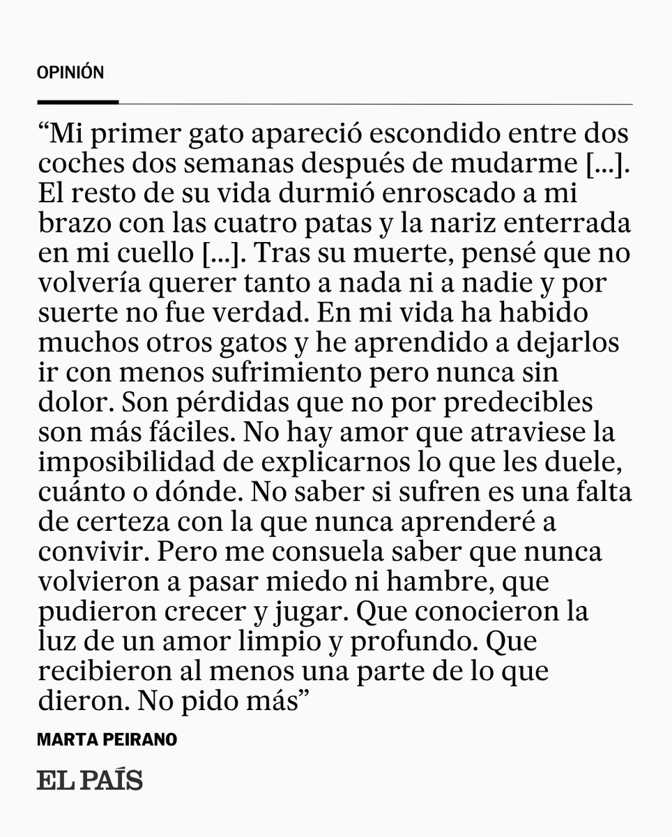 el_pais's tweet photo. COLUMNA | "Mi gato Murió de un tumor cinco años más tarde, el día de Nochebuena. Yo hubiese preferido perder un riñón. Pensé que no volvería querer tanto a nada ni a nadie" https://t.co/FpHIt0Hpj5 https://t.co/CqNMkupccp