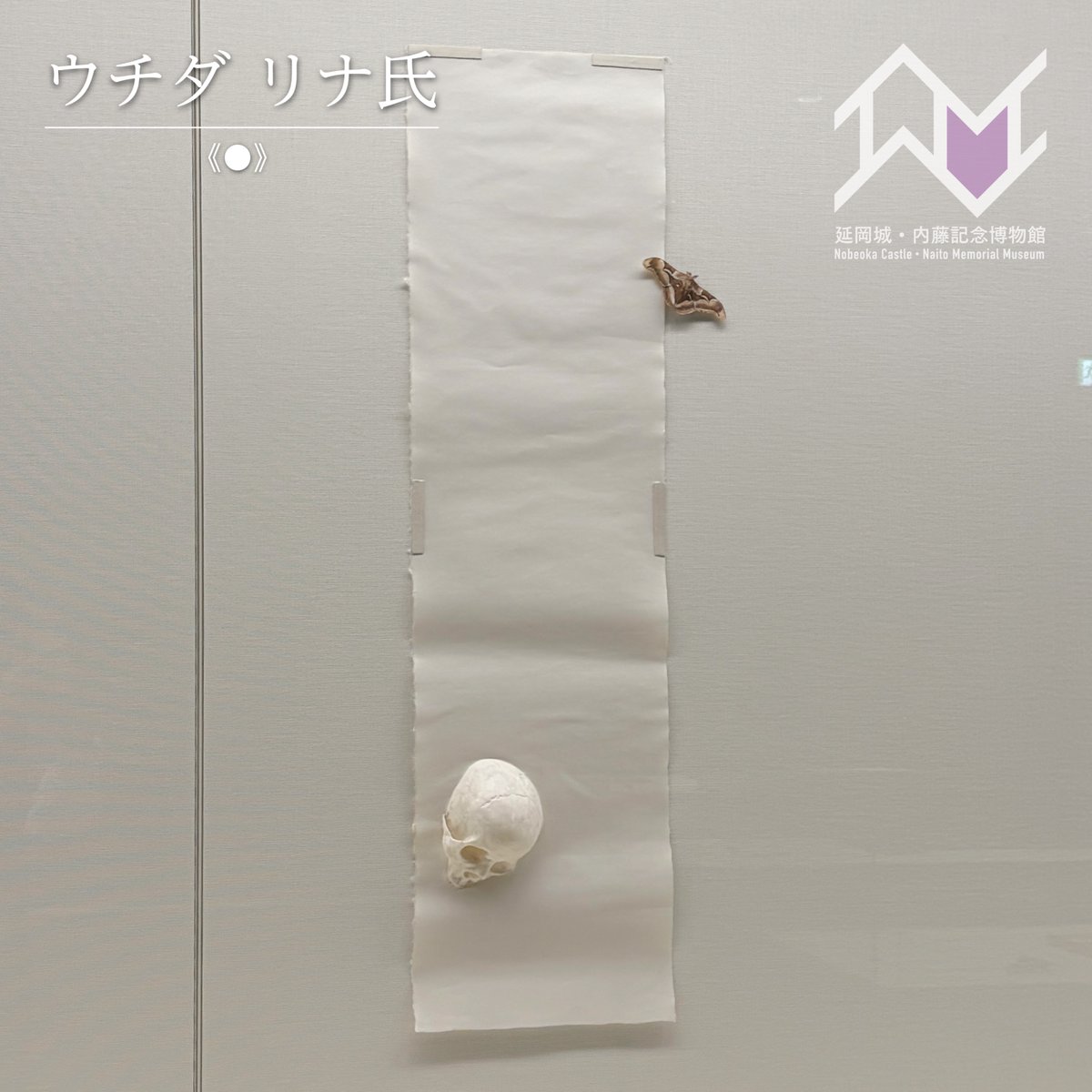 nobeoka_naito_m's tweet photo. ☆★展示作品紹介★☆

現在開催中の特別展「INSECTS / NOBEOKA–驚異の昆虫アート–」の展示作品を紹介をします。

▶︎作家 ウチダリナ氏
・《●》
・The Family -1-
・かおる
ウンモンスズメという蛾との出会い、和紙が蛾の質感に似ていると感じたことから始まった作品のシリーズです。 https://t.co/yLePHJG0ev