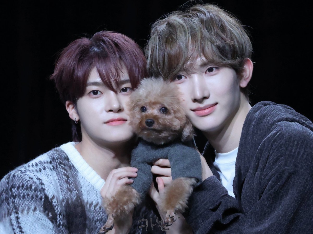 mj__410's tweet photo. 세은아 생일 축하한당🥳💞
#싸이커스 #xikers #세은 #SEEUN #준민 #JUNMIN #콩이 https://t.co/djaxb0SifG