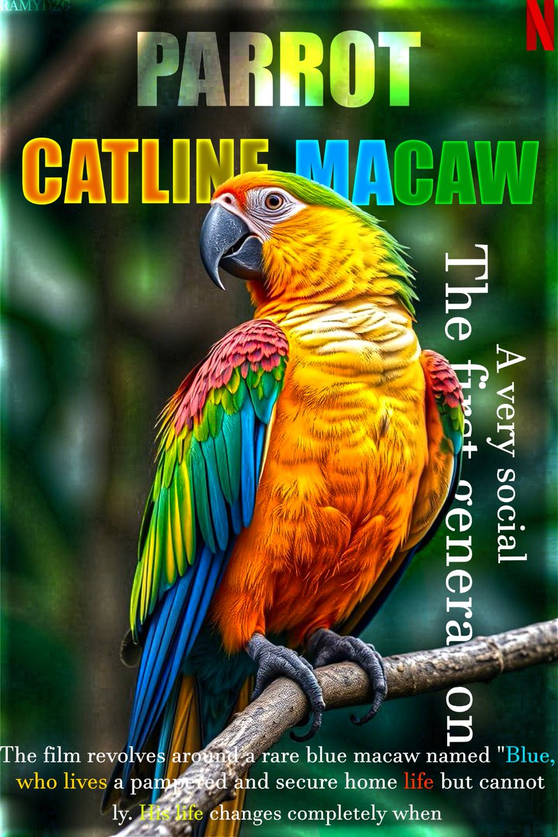 kay100cx's tweet photo. It is neither a book nor a documentary—just a professional design. How would you rate it?🐦🎋🌱#BookDesign #EditorialDesign #BookCoverDesign #DocumentaryDesign #PosterDesign #GraphicDesign #VisualDesign #Typography #LayoutDesign #CreativeDesign #GraphicDesigner #DesignInspiratio https://t.co/FH5ww95VPy