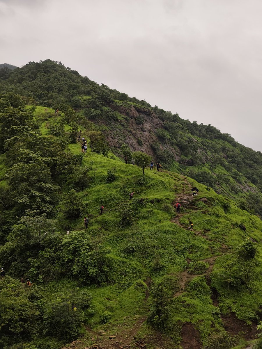 ningsangjamir's tweet photo. Evidence that the NCF Mumbai monsoon trek was epic without me. 😆

Sharing these so we feel enough FOMO to never miss the  next one. https://t.co/uvRNDYCjIi