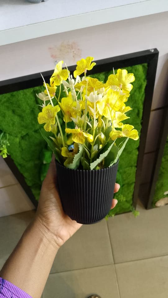 iam_ifyy's tweet photo. Hi, good morning! 🌸
I have beautiful flowers for sale, perfect for:
🌸 Coffee tables
🌸 TV consoles
🌸 Dining tables
🌸 Office desks
🌸 Reception areas

Send a DM to order. ₦10,000 each. https://t.co/uFVBDH5zXU