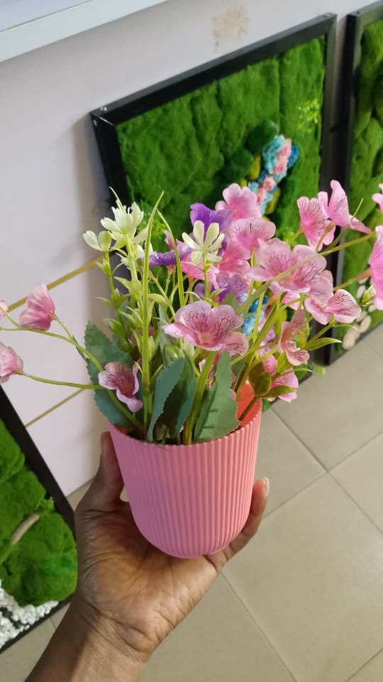iam_ifyy's tweet photo. Hi, good morning! 🌸
I have beautiful flowers for sale, perfect for:
🌸 Coffee tables
🌸 TV consoles
🌸 Dining tables
🌸 Office desks
🌸 Reception areas

Send a DM to order. ₦10,000 each. https://t.co/uFVBDH5zXU