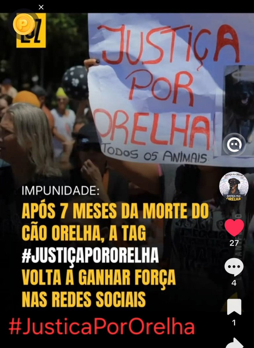 Cristin96731220's tweet photo. Após 7 meses da morte do Cão Orelha a tag.                    #JustiçaPorOrelha.                                                      volta a ganhar força nas redes sociais.                       #JUSTICAPORORELHA https://t.co/VjtGnCFZsL
