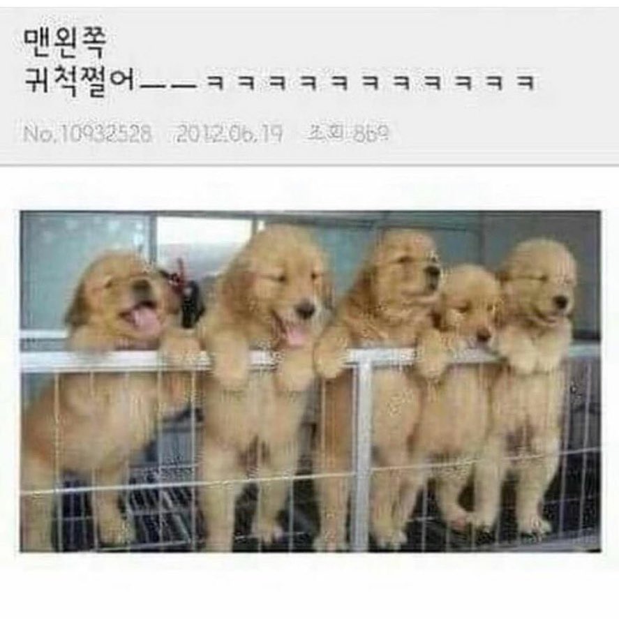 lionsamsungyu's tweet photo. ㅅ발 우승현이랑우승현딸래미 그냥존나이거고 걍개웃김 https://t.co/USKGL7nCjk