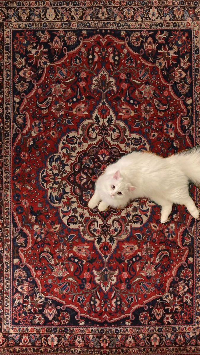 1nnovaIncogni06's tweet photo. Valkyrie and Rugs Pattern: A thread🧵 https://t.co/evyCf6JzI3